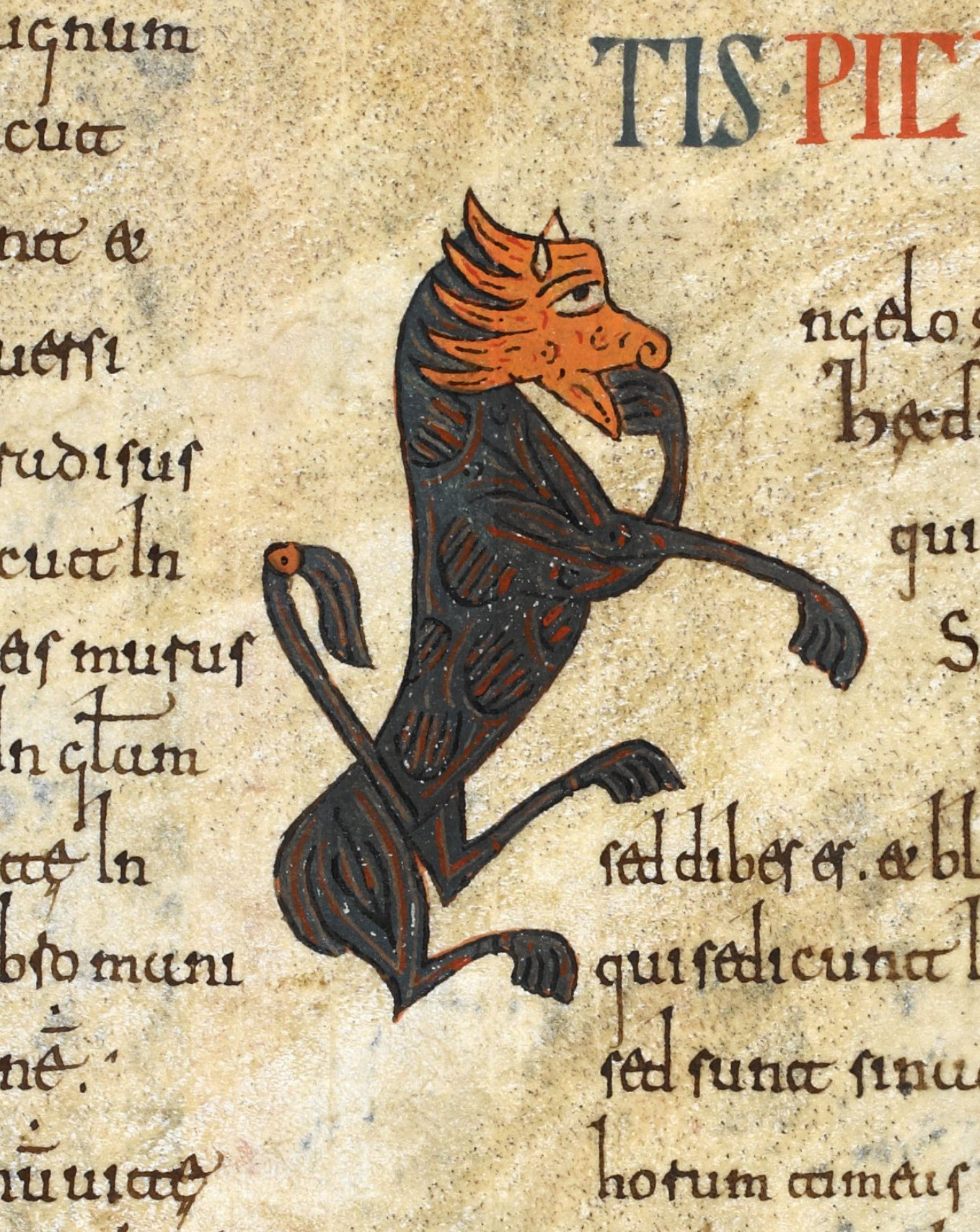 Beatus de Silos, folio 54r – Animal faisant office de lettrine « A ».