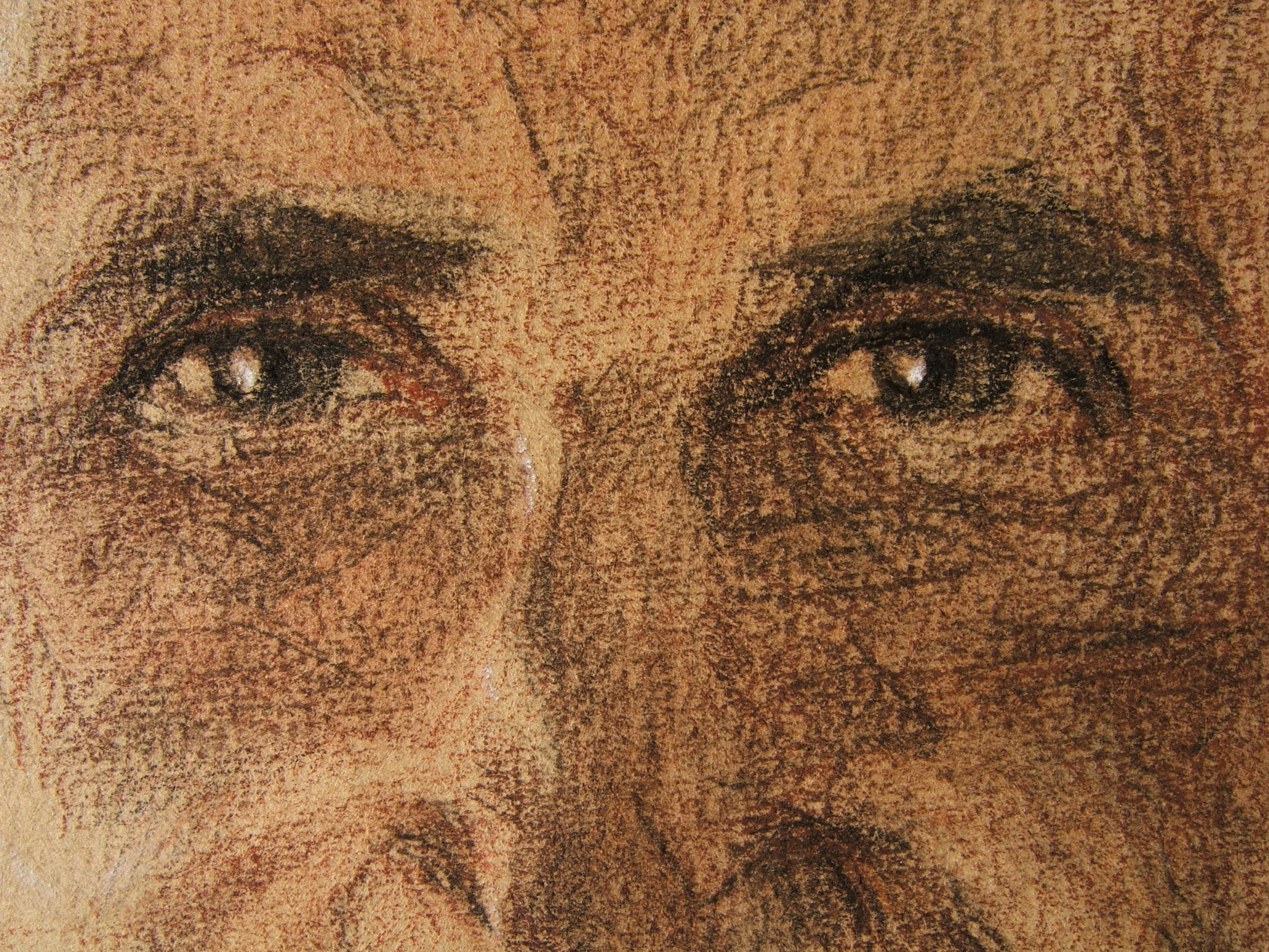 Charles de Foucauld – Portrait, détail