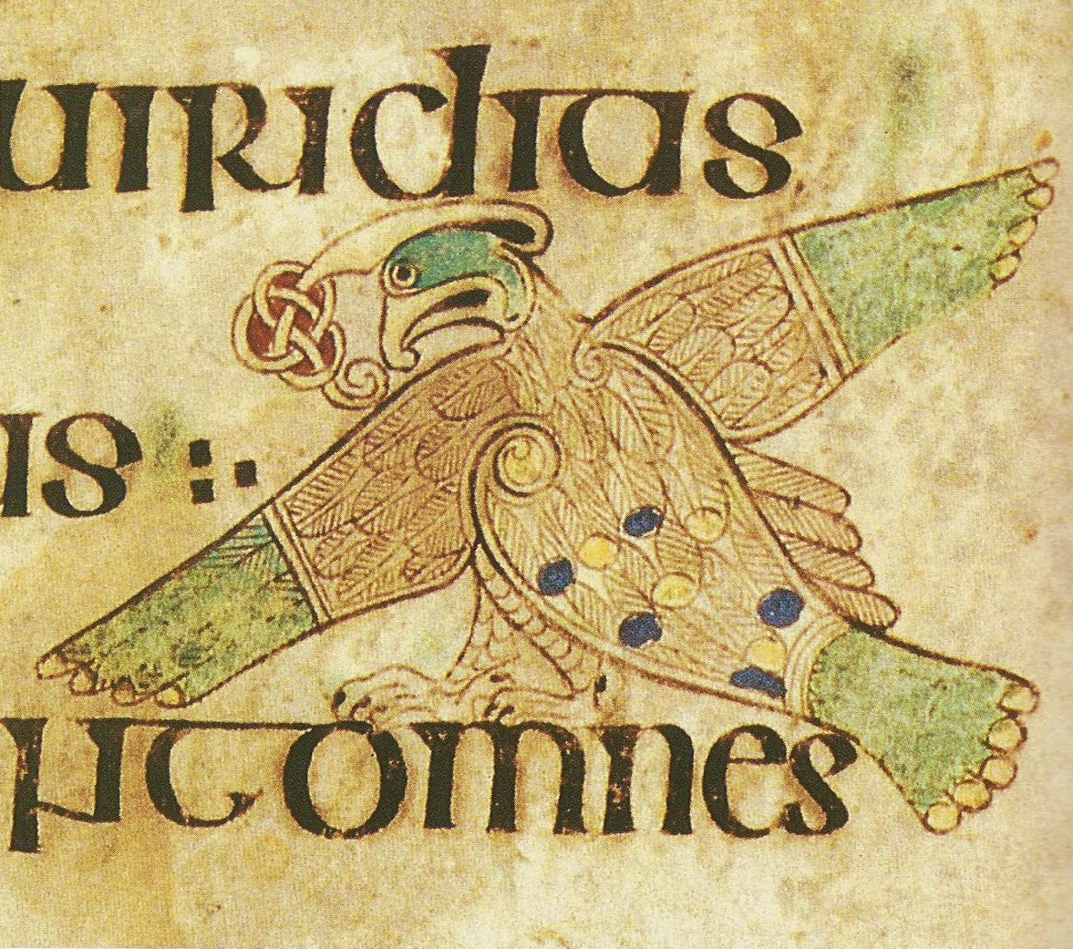 Livre de Kells – L’aigle de saint Jean, folio 212 verso