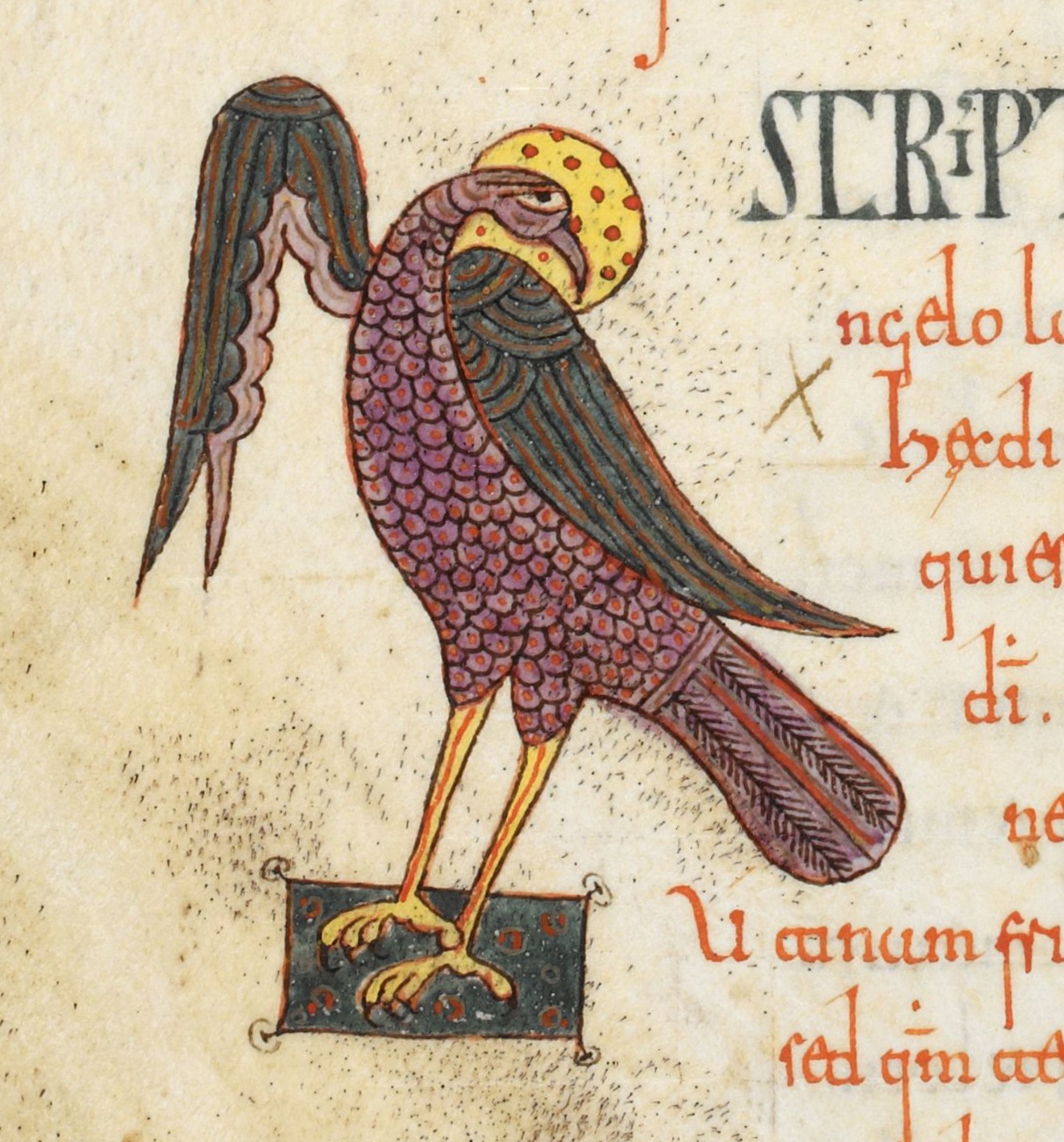 Beatus de Silos, folio 77v b – Aigle faisant office de lettrine « A ».