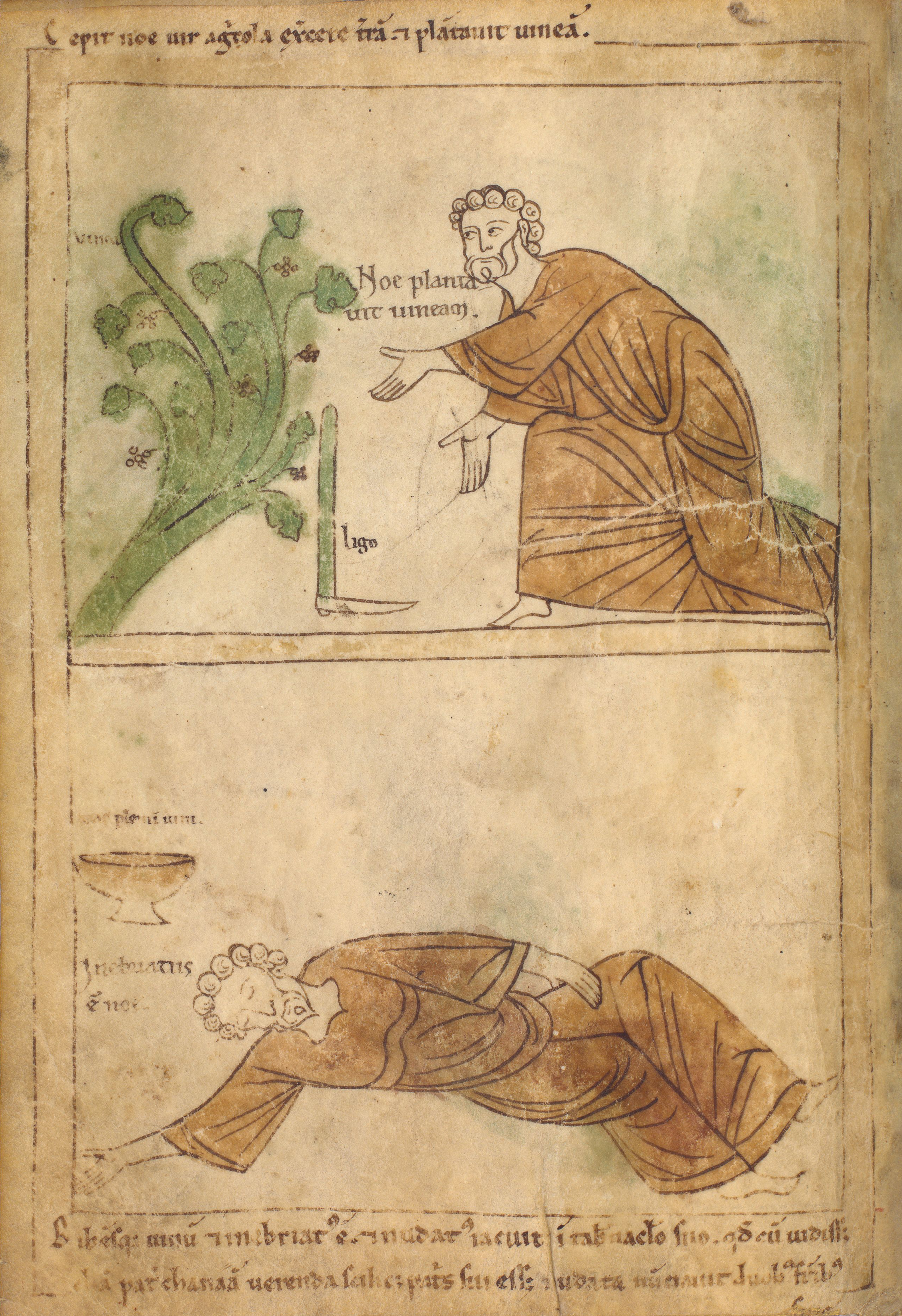 Seconde Bible de Pampelune, folio 10v – Noé plante la vigne (Gn 9, 20). Noé s’endort ivre et dénudé en dehors de sa tente (Gn 9, 21).