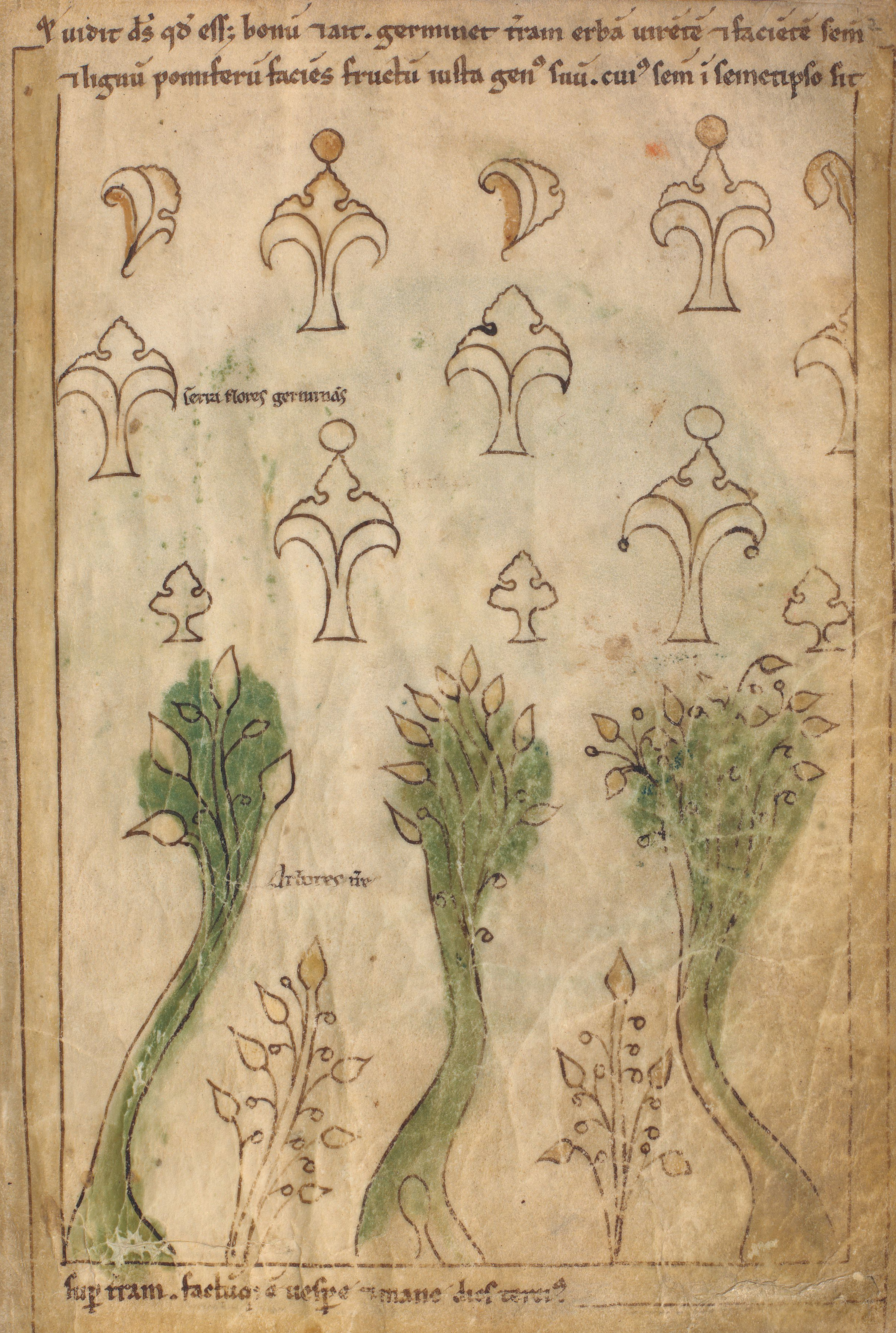 Seconde Bible de Pampelune, folio 2r – La création de l’herbe et des arbres (Gn 11, 12).