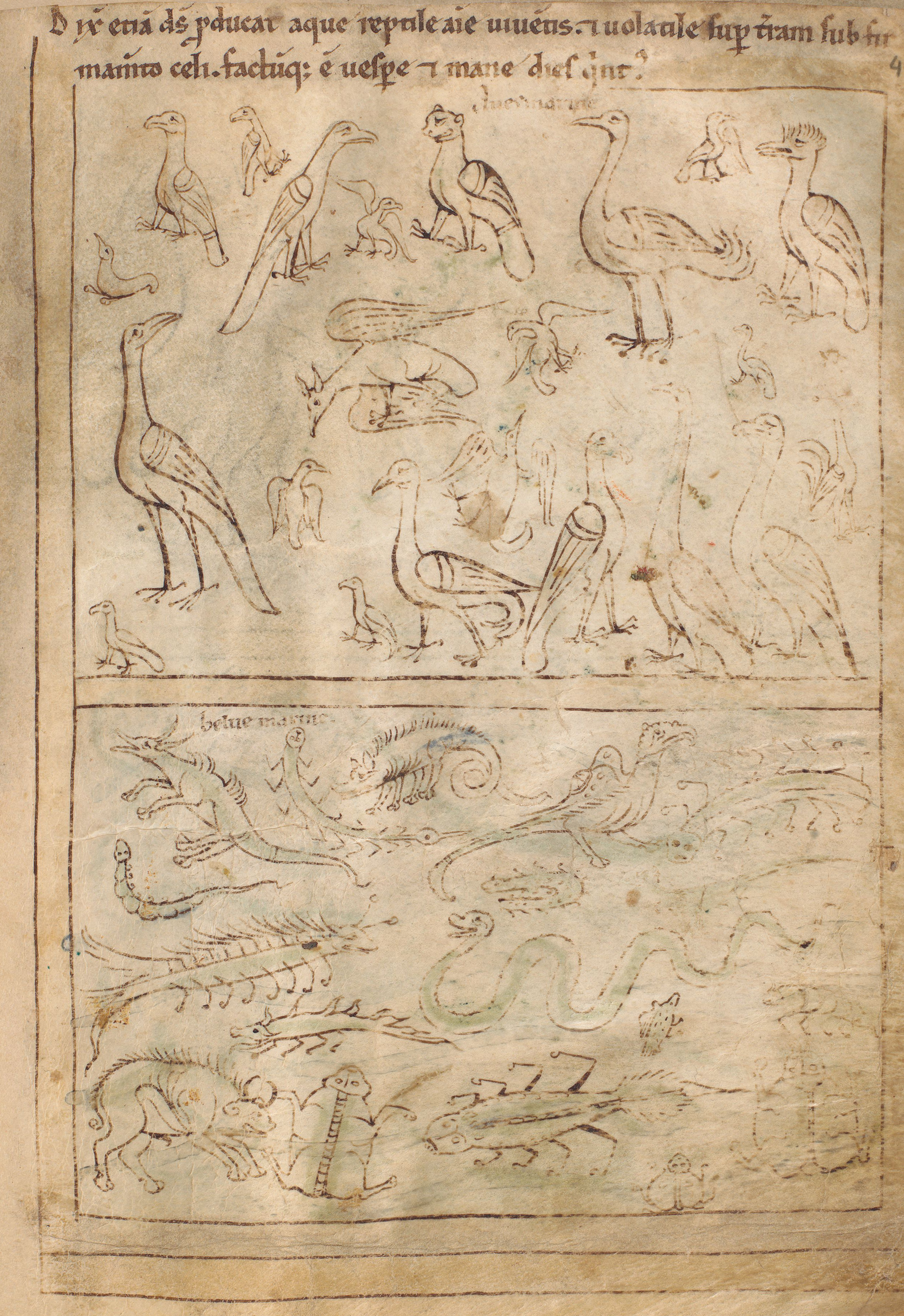 Seconde Bible de Pampelune, folio 4r – Création des animaux marins et des oiseaux (Gn 1, 20-22).