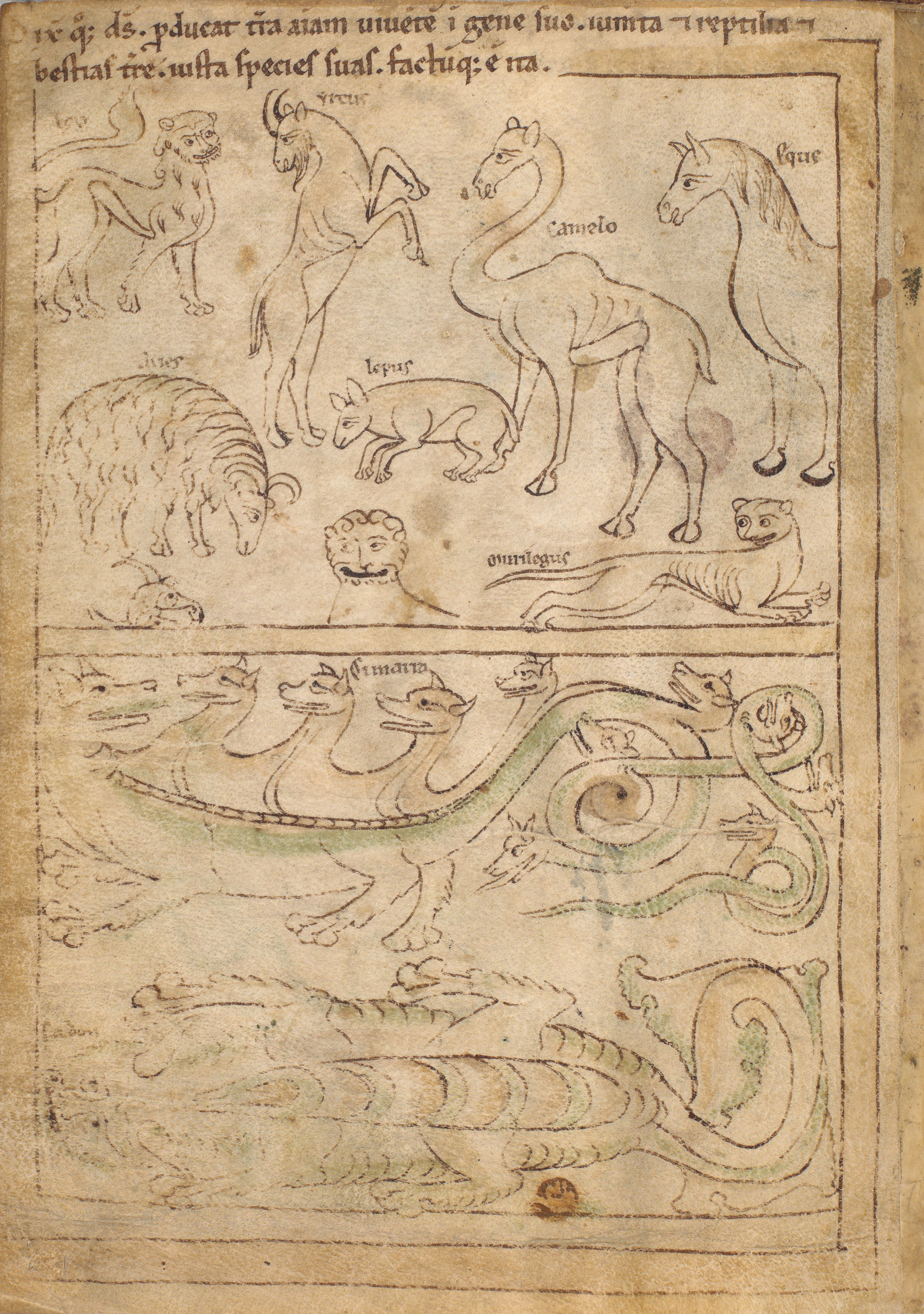 Seconde Bible de Pampelune, folio 4v – Création des animaux terrestres, les bêtes sauvages et les animaux domestiques (Gn 1, 24-25).